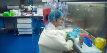 Delegados de la OMS se dirigen al mundo desde Wuhan para hablar del origen del Covid-19