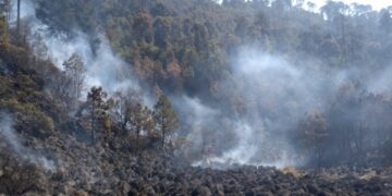 Incendio forestal arrasa con bosques en Morelos