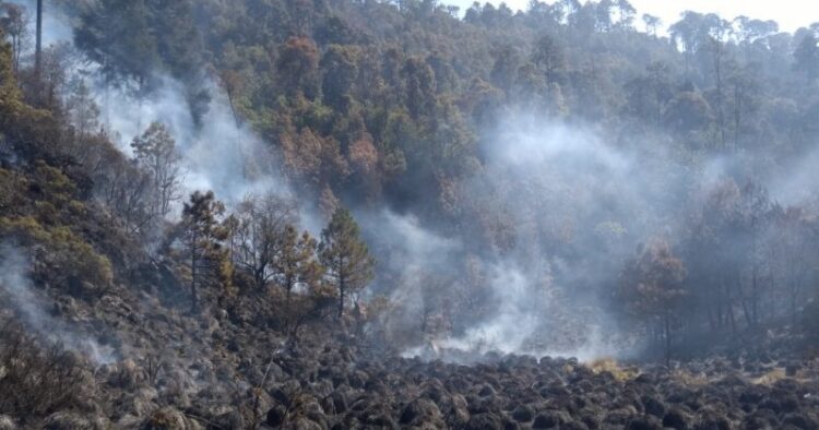 Incendio forestal arrasa con bosques en Morelos