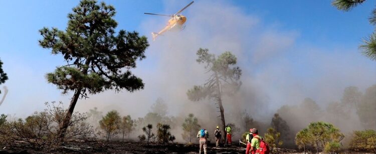 Tres incendios forestales en Monterrey el fin de semana