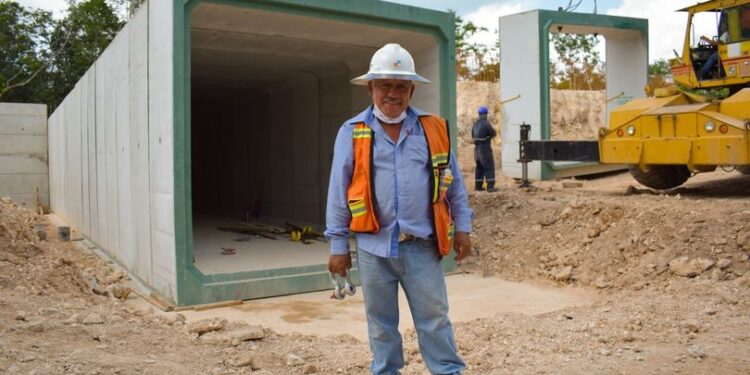 Preparan presupuesto millonario para Tren Maya y Dos Bocas