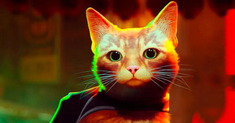 Así reaccionan los gatos al videojuego ‘Stray’