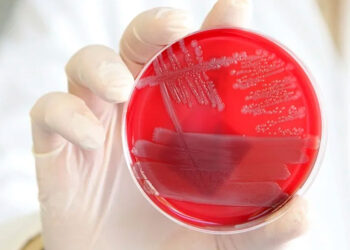 Identifican un mecanismo molecular que desactiva la inflamación en el cuerpo humano